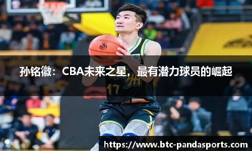 熊猫体育官方入口