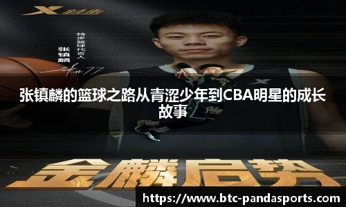 熊猫体育