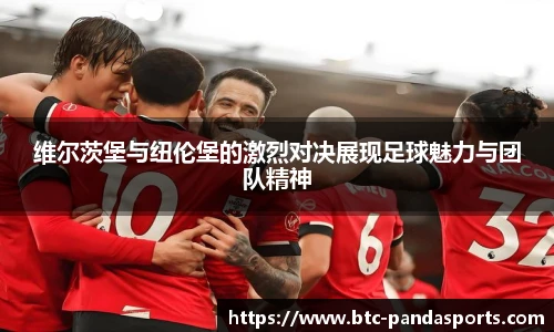 熊猫体育